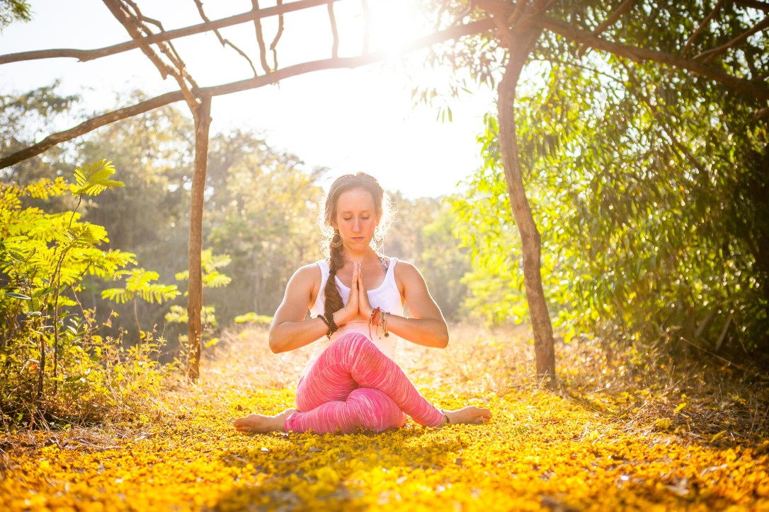 Asana Rachel 12-03-15--1